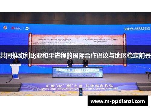 共同推动利比亚和平进程的国际合作倡议与地区稳定前景